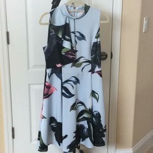 Ted Baker Dress size 3